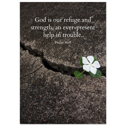 8a1118ab-4649-46e7-a460-ae429131c806