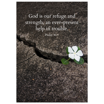 aa4a9224-1a0b-4b33-a440-03d533026aa9