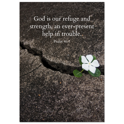 f20d4a1d-38af-48ec-9e49-a8bd69708d7d